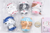 Nekopantsu [All 5 type set (Full Complete)]