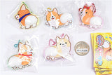 One! Two! Corgi Puniketsu Keychain [All 5 type set (Full Complete)]