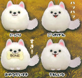 Samoyed-kun Dekapon [All 4 type set (Full Complete)]