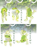 Frog mine charm [All 5 type set (Full Complete)]