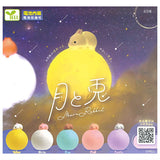 The Moon and the Rabbit [All 5 type set(Full Complete)]