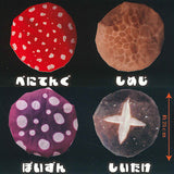 MushROOM Cap [All 4 type set(Full Complete)]