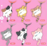 Shippo Furifuri  Onya Mae Charm [All 6 type set(Full Complete)]