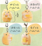 Hamchoco Mejirushi Collection [All 4 type set(Full Complete)]