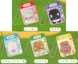 Iyashitekuretu Chiisanamikata Kizunade Packaged Charm Puppy [All 5 type set (Full Complete)]