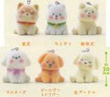 Fuwanko wanko Flocky Mejirushi Collection [All 6 type set(Full Complete)]