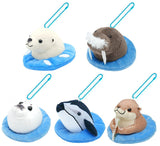 Nature Techni Colour MONO Umikarahyokkori Plush Toy Part.2 [All 5 type set(Full Complete)]