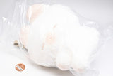 Usagi no nemuchan Plush Pochette [2.Brown-eared Nemuchan]
