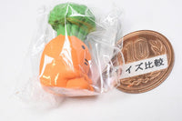 [Resting carrot (ZCB-38438)] DECOLE concombre Easter