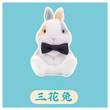 KONGZOO Mofumofu Rabbit series [6.Mike rabbit]