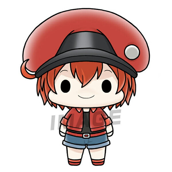 Chokorin Mascot Cells at Work! [1.Red Blood Cell]