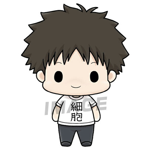 Chokorin Mascot Cells at Work! [6.Normal cell]