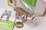 Atsuhiko Misawa ANIMALS Figure Collection 1 [3.Raccoon dog]