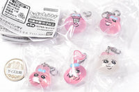 GASHABOX Opanchu usagi Mejirushi Accessory [All 5 type set (Full Complete)]