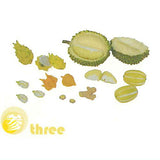[Set A] JYKYS Garden Series Trading Figure [3.three]
