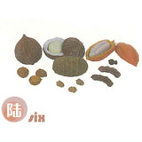 [Set B] JYKYS Garden Series Trading Figure Set B [6.six]