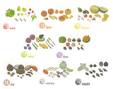 [Set B] JYKYS Garden Series Trading Figure Set B [Normal 8 type set (Secret are NOT including)]
