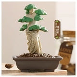 QUE SERA series MODERN ANCIENTS ART BONSAI [5.The Pine of Aphrodite]