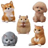 Tenori Friends Part.2 [Assorted 5 type set (1.Mameshiba/3.toy poodle/4.Golden hamster/7.White-brown cat/8.Silver ash cat)]