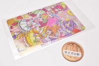 Tropical-Rouge! PreCure Kirakira Card Gummy [6.PreCure Shugou 1]