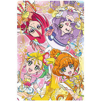 Tropical-Rouge! PreCure Kirakira Card Gummy [14.PreCure Shugou 2 (Holo foil stamping)]