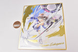 Detective Conan Shikishi ART Part.6 [12.Conan Edogawa [golden foil stamping]]