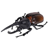 Konchu no Mori Sugoize! Beetle Daikenkyu! [1.Hercules beetle (Orange)]