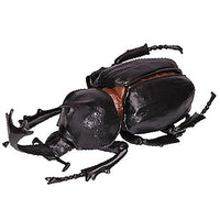 Konchu no Mori Sugoize! Beetle Daikenkyu! [3.Rhinoceros beetle (Black)]