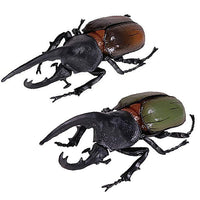 Konchu no Mori Sugoize! Beetle Daikenkyu! [Assorted 2 type set (1.Hercules beetle (Orange)/2.Hercules beetle (Green))]