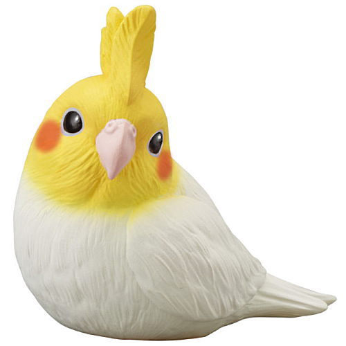 Tenori Friends 1R [3.Cockatiel Lucino]