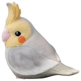 Tenori Friends 1R [9.Cockatiel cinnamon]