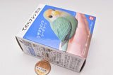 Tenori Friends 1R [12.Rosy-faced lovebird sea green]