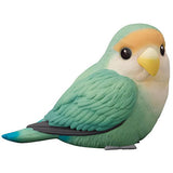 Tenori Friends 1R [12.Rosy-faced lovebird sea green]