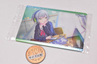 Project Sekai Colorful Stage! feat. Hatsune Miku Wafer [4.Character card 4:Hinomori Shiho]