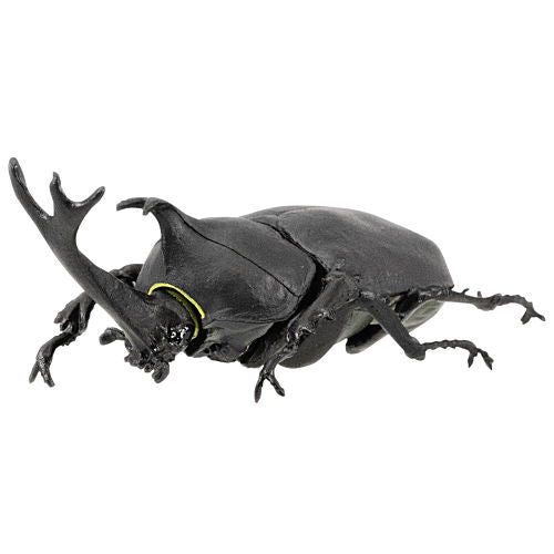 Insects Hunter Kabutomushi x Kuwagata 2021(Beetles x Stag Beetle) [1.Beetle (Black)]