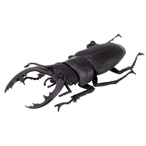 Insects Hunter Kabutomushi x Kuwagata 2021(Beetles x Stag Beetle) [3.Stag Beetle?]