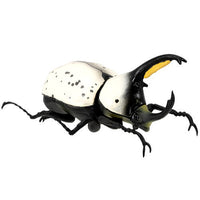 Insects Hunter Kabutomushi x Kuwagata 2021(Beetles x Stag Beetle) [4.Dynastes granti]