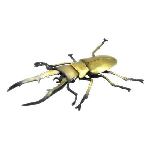 Insects Hunter Kabutomushi x Kuwagata 2021(Beetles x Stag Beetle) [5.Cyclommatus metallifer]