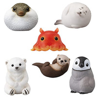 Tenori Friends Part.3 [Assorted 6 type set (4.Puffer fish/5.Polar bear/6.Penguin/7.Seal/9.Opisthoteuthis depressa/10.Sea otter)]