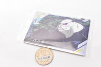 Jujutsu Kaisen Wafer Part.3 [6.Character card N6: Panda]