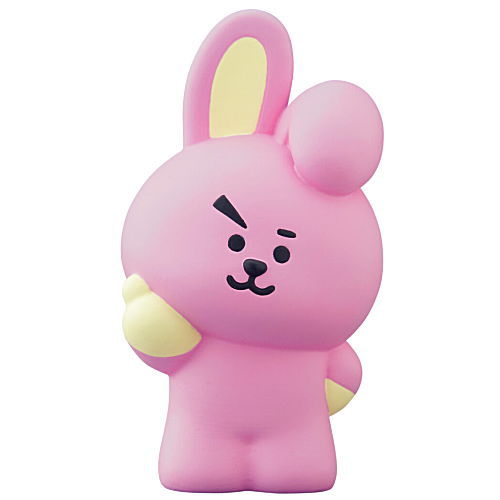 BT21 Friends [7.COOKY]