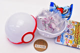 Pokemon Get Collections Candy Sinnoh Region Pokemon and Adventure! [6.Palkia]