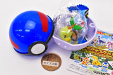 Pokemon Get Collections Candy Sinnoh Region Pokemon and Adventure! [9.Turtwig]