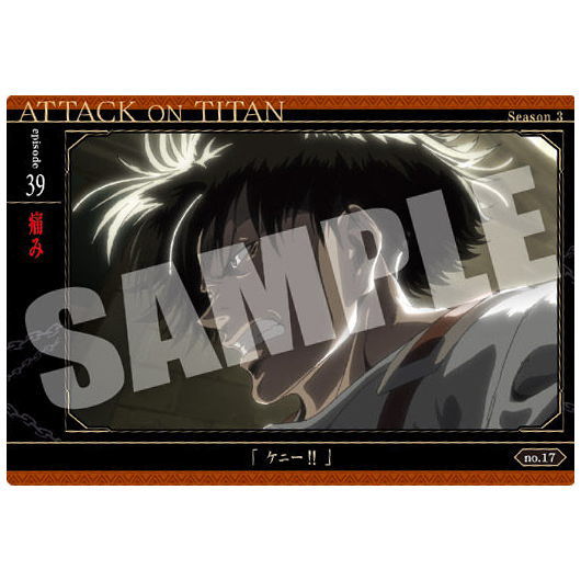 Attack on Titan The Final Season Wafer [17.Pain (story card)]