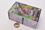 SHODO-X Kamen Rider 15 [4.Skyrider]