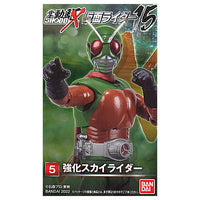 SHODO-X Kamen Rider 15 [5.Powered Skyrider]