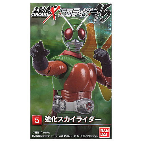 SHODO-X Kamen Rider 15 [5.Powered Skyrider]
