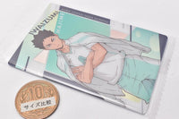 Haikyuu!! Wafer [14.Hajime Iwaizumi (Character Card)]