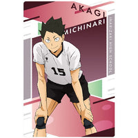 Haikyuu!! Wafer [25.Michinari Akagi (Character Card)]