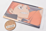 Haikyuu!! Wafer [27.Story card 1]